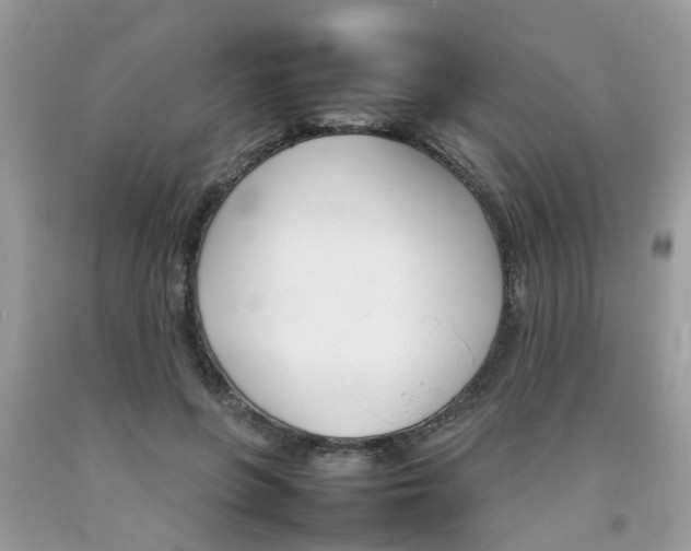 X0000092050551200709191123