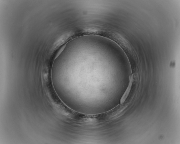 X0000092050552200709191123