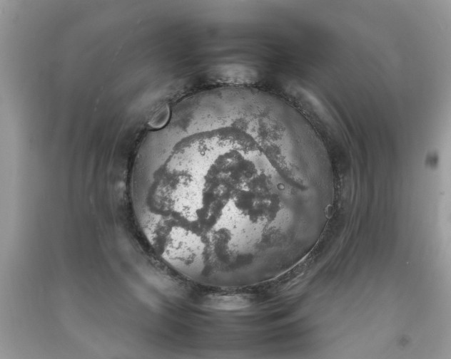 X0000092050553200709191123