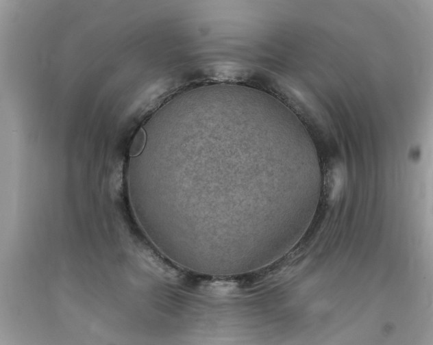 X0000092050554200709191123