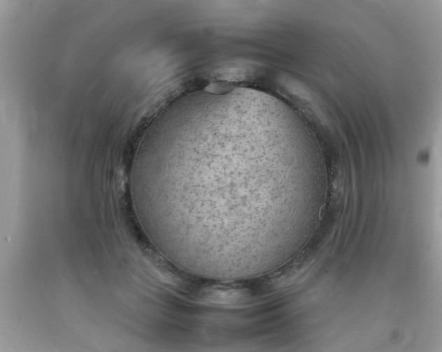 X0000092050555200709191123