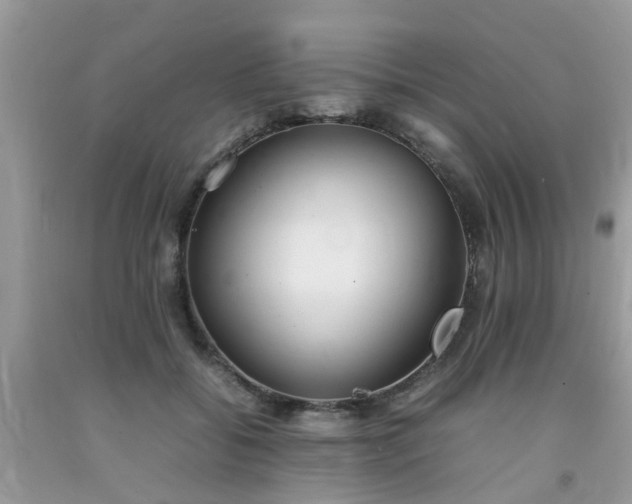 X0000092050556200709191123