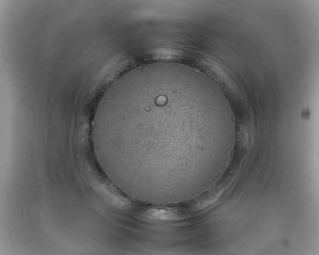 X0000092050557200709191123