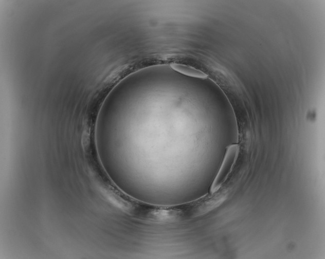 X0000092050558200709191123