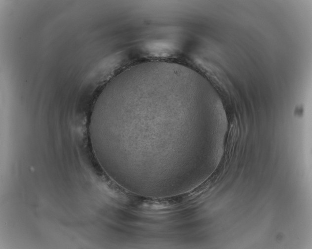 X0000092050559200709191123