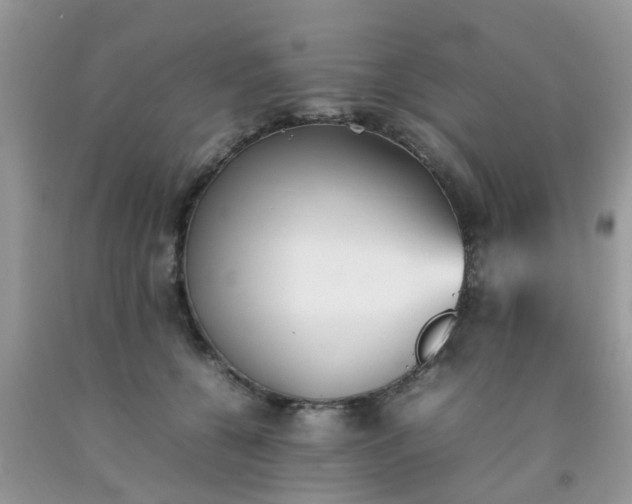 X0000092050560200709191123