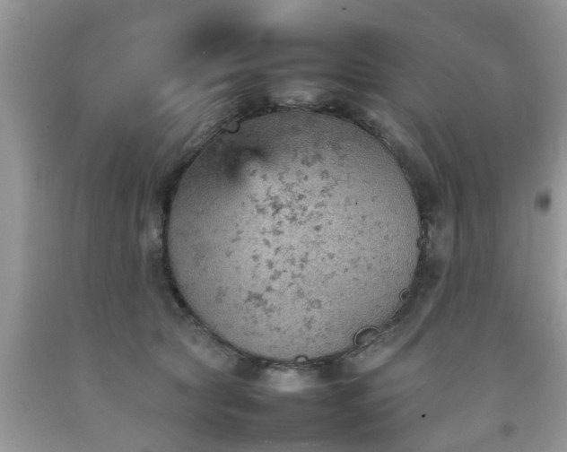 X0000092050561200709191123