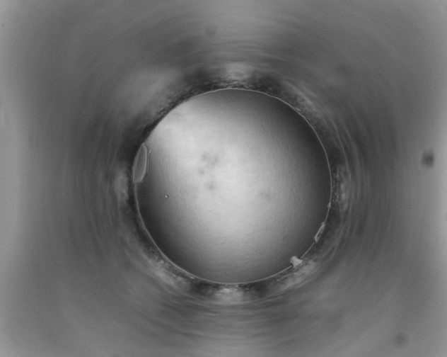 X0000092050562200709191123