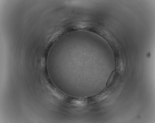 X0000092050563200709191123