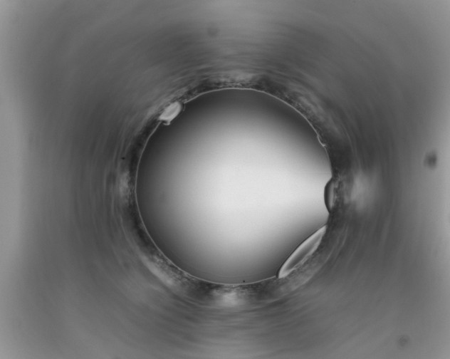 X0000092050564200709191123