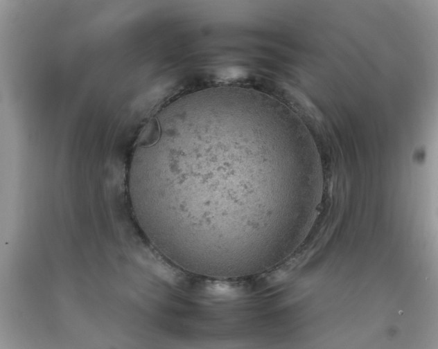 X0000092050565200709191123