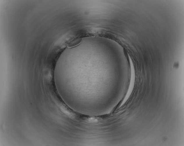 X0000092050566200709191123