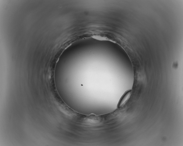 X0000092050567200709191123