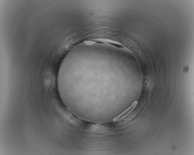 X0000092050568200709191123