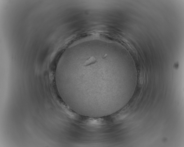 X0000092050569200709191123