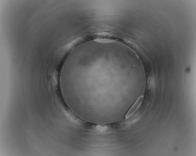 X0000092050570200709191123