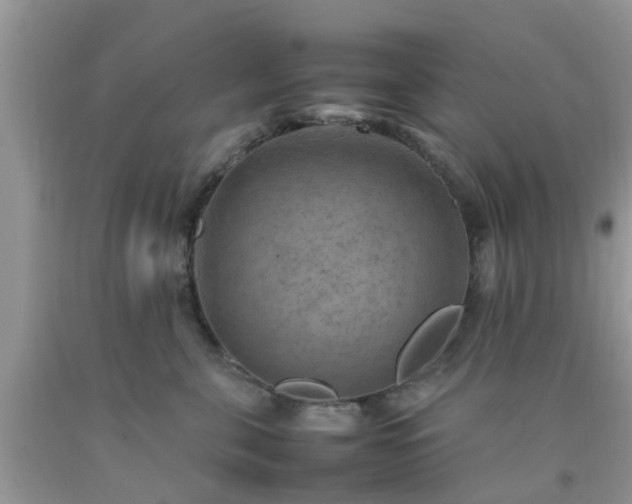 X0000092050571200709191123