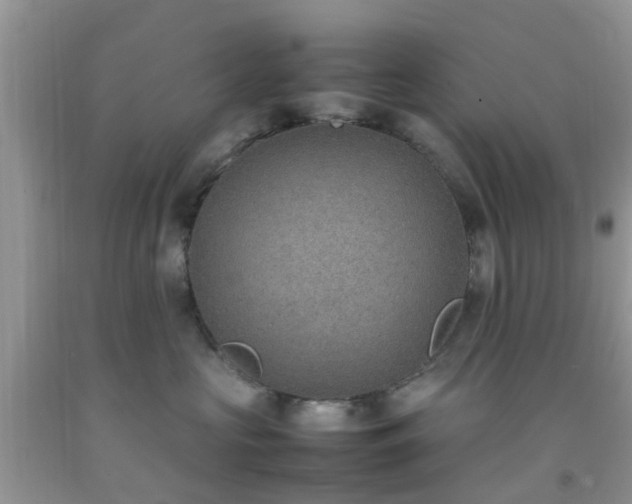 X0000092050573200709191123