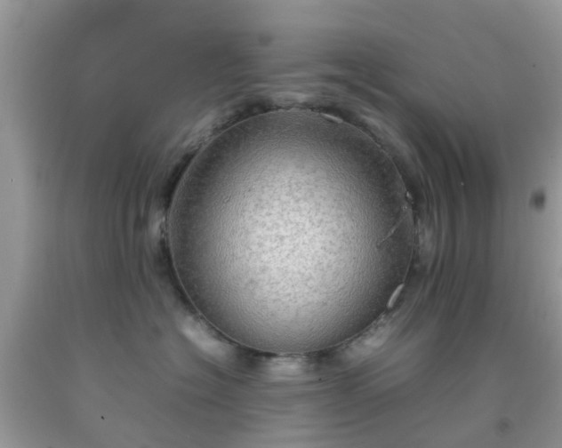 X0000092050574200709191123