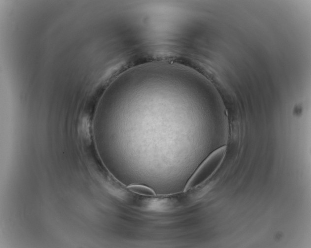 X0000092050575200709191123