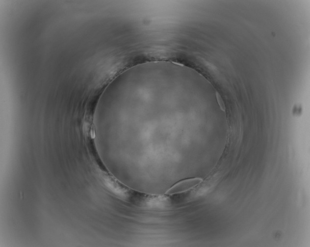 X0000092050576200709191123