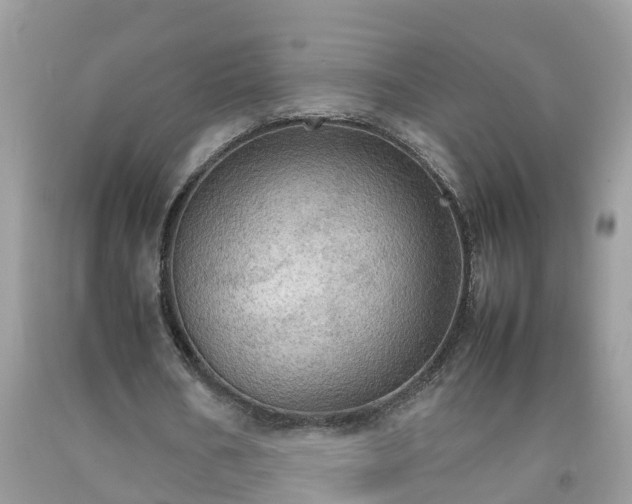 X0000092050578200709191122