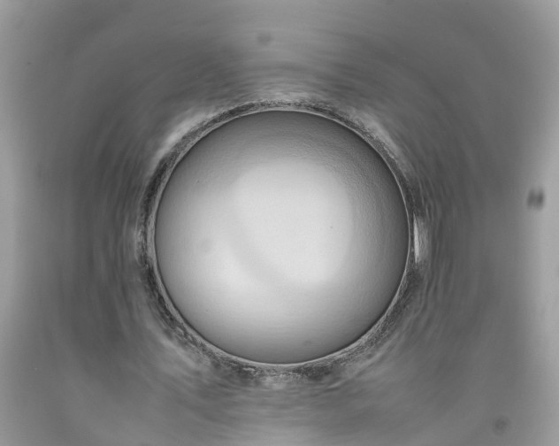 X0000092050579200709191122