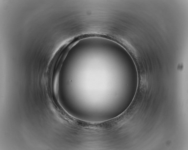 X0000092050580200709191122