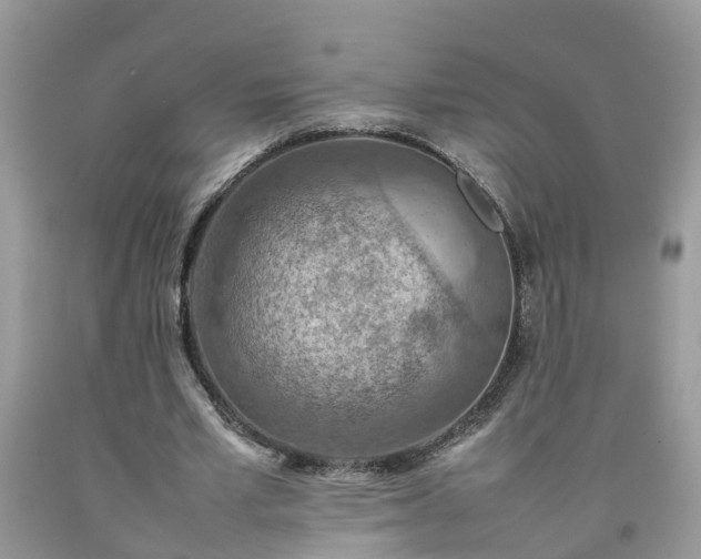 X0000092050581200709191122