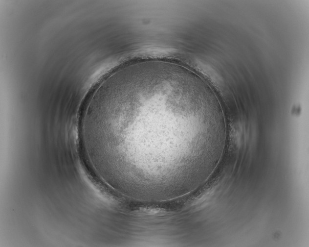 X0000092050582200709191122