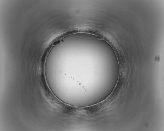 X0000092050583200709191122