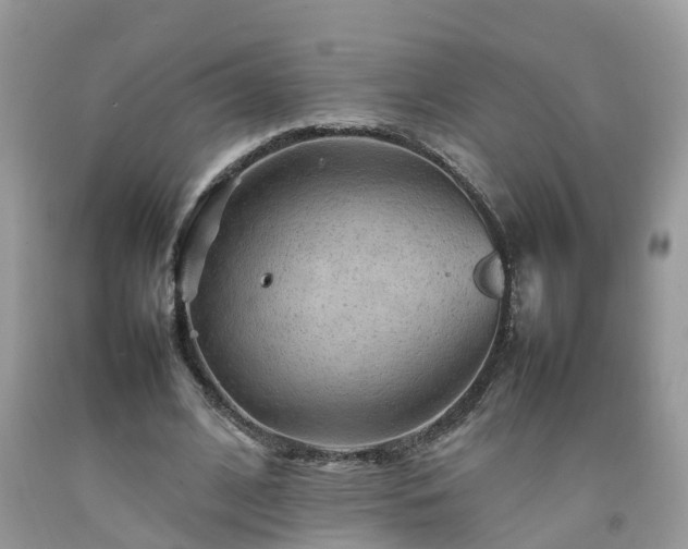 X0000092050584200709191122