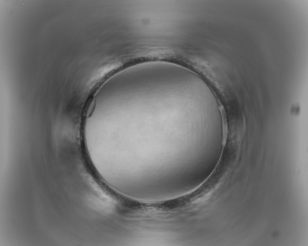 X0000092050585200709191122