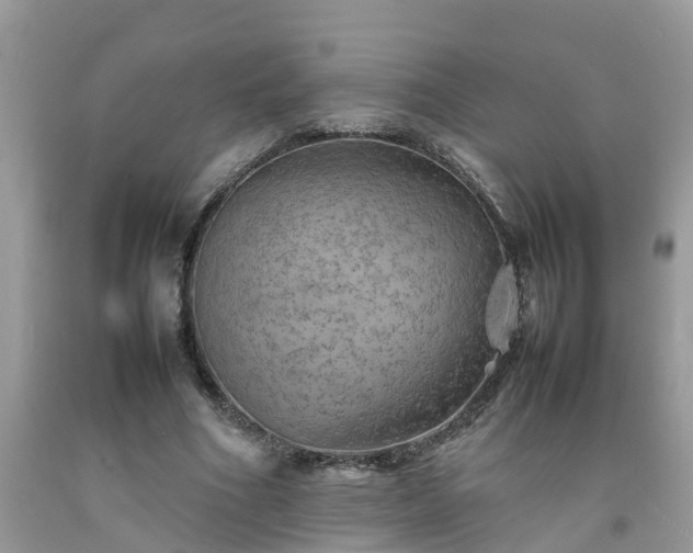 X0000092050586200709191122