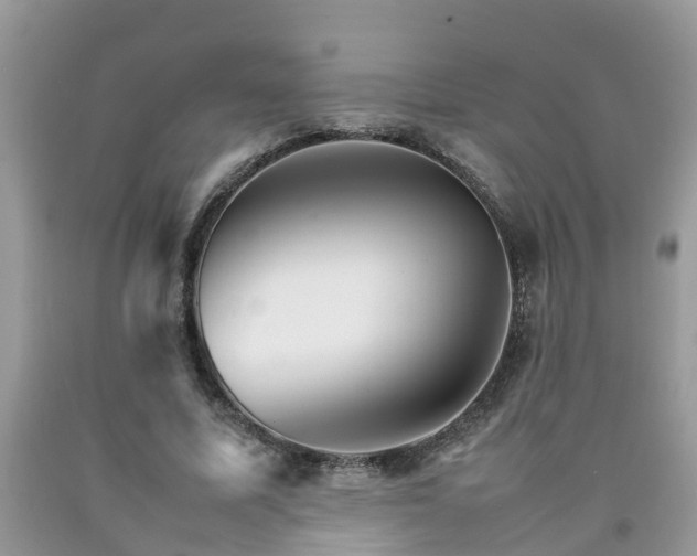 X0000092050587200709191122