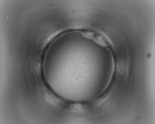 X0000092050588200709191122