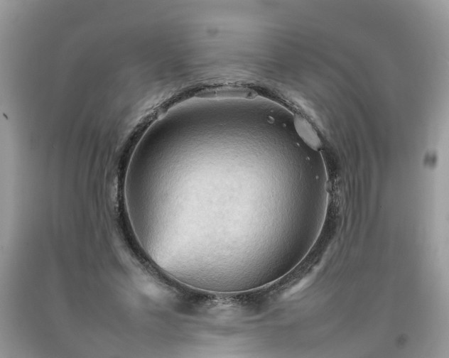 X0000092050589200709191122