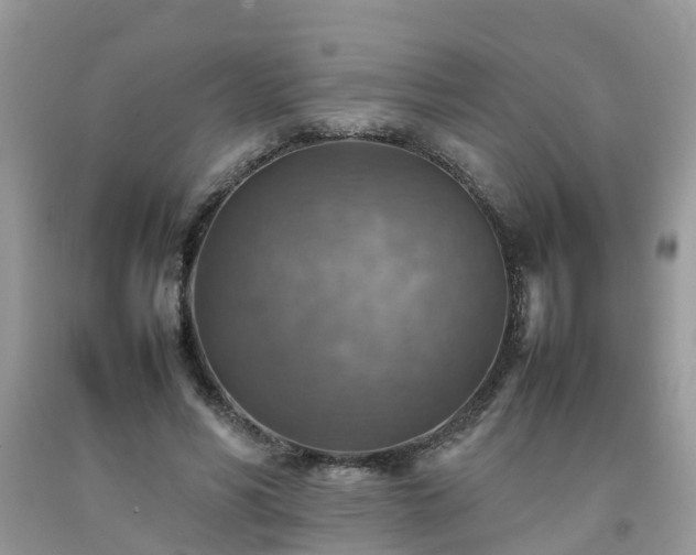 X0000092050590200709191122