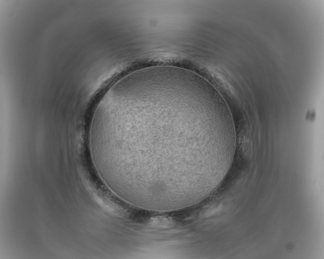 X0000092050591200709191122