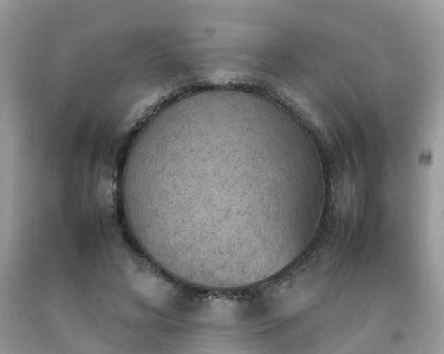 X0000092050592200709191122