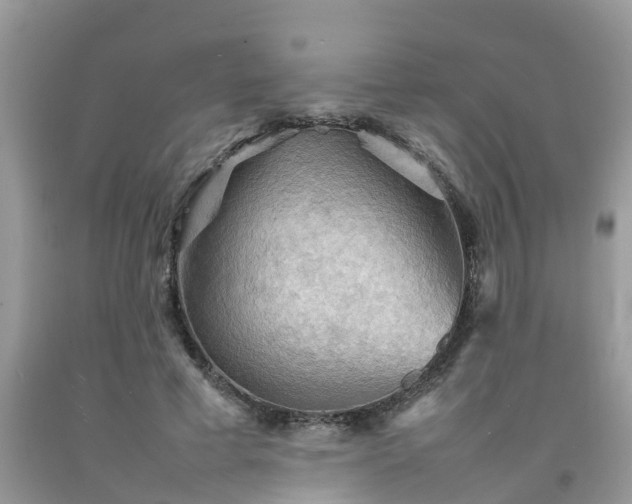 X0000092050593200709191122