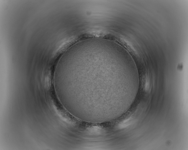 X0000092050594200709191122