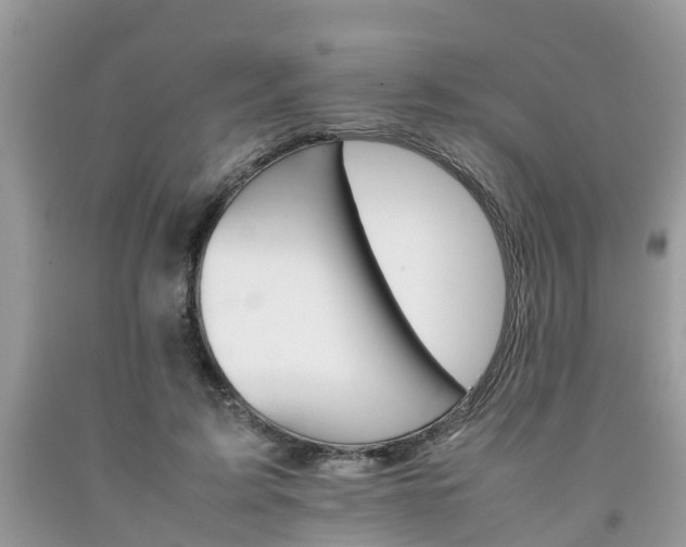 X0000092050595200709191122