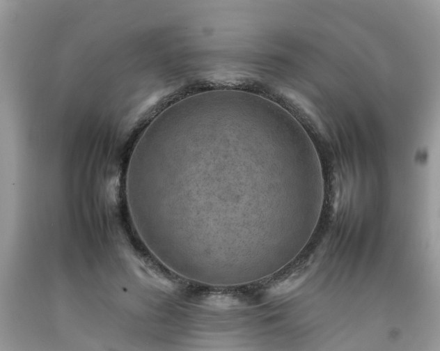 X0000092050596200709191122