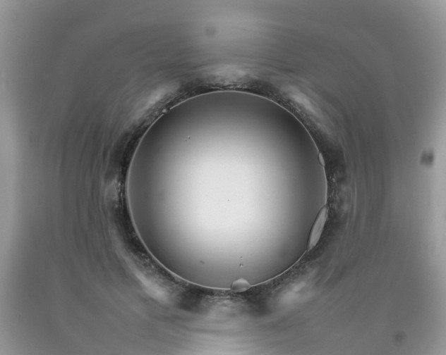 X0000092050597200709191122