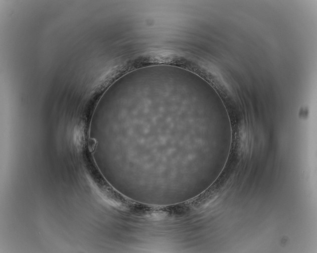 X0000092050598200709191122