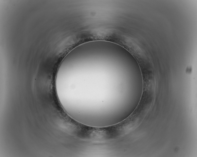 X0000092050599200709191122