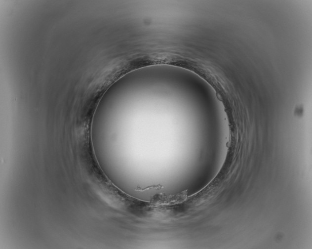 X0000092050601200709191122