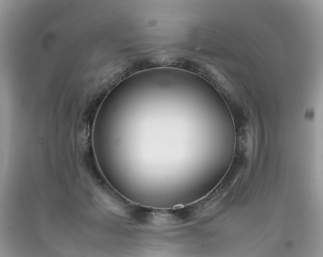 X0000092050605200709191122