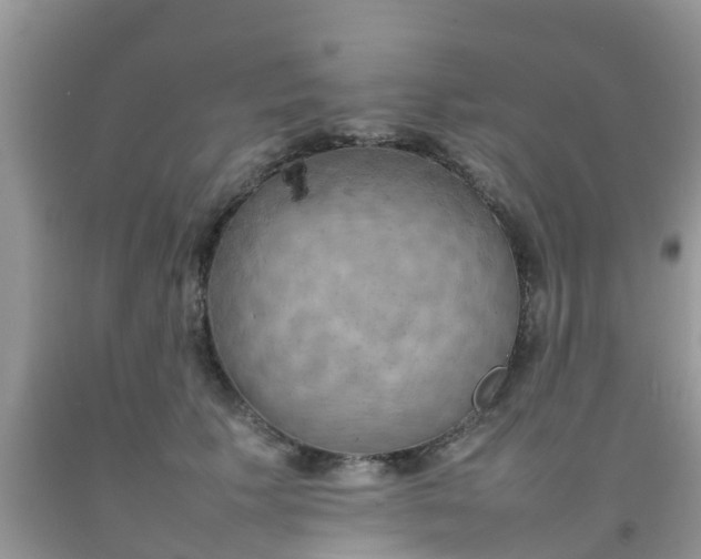 X0000092050609200709191122